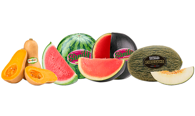 Productos Cinco Casas